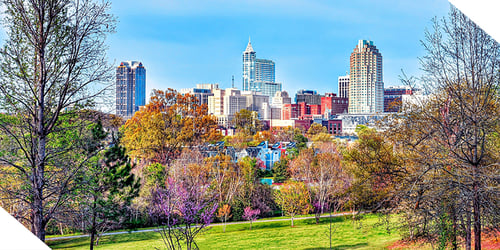 raleigh_skyline (2)