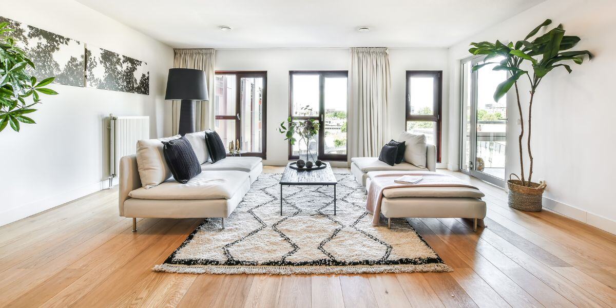 A modern, well-staged living room with a comfortable sectional sofa, chic monochrome area rug, and lush indoor plant, inviting potential home buyers.